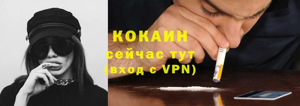ПСИЛОЦИБИНОВЫЕ ГРИБЫ Заводоуковск
