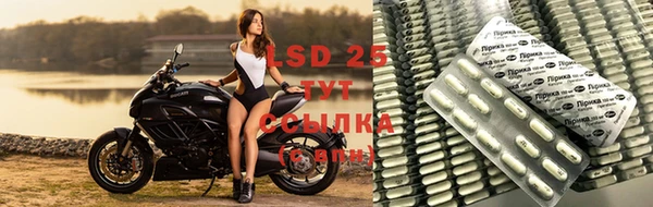 мяу мяу мука Заволжск
