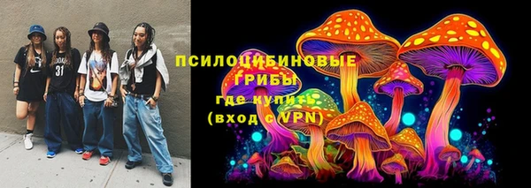 ПСИЛОЦИБИНОВЫЕ ГРИБЫ Заводоуковск